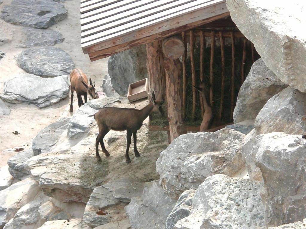 Appartements Haus Olympia Innsbruck Bilik gambar